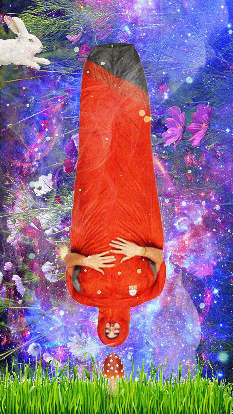 Museumnacht 2022 | Follow the white rabbit | Wereldmuseum Rotterdam