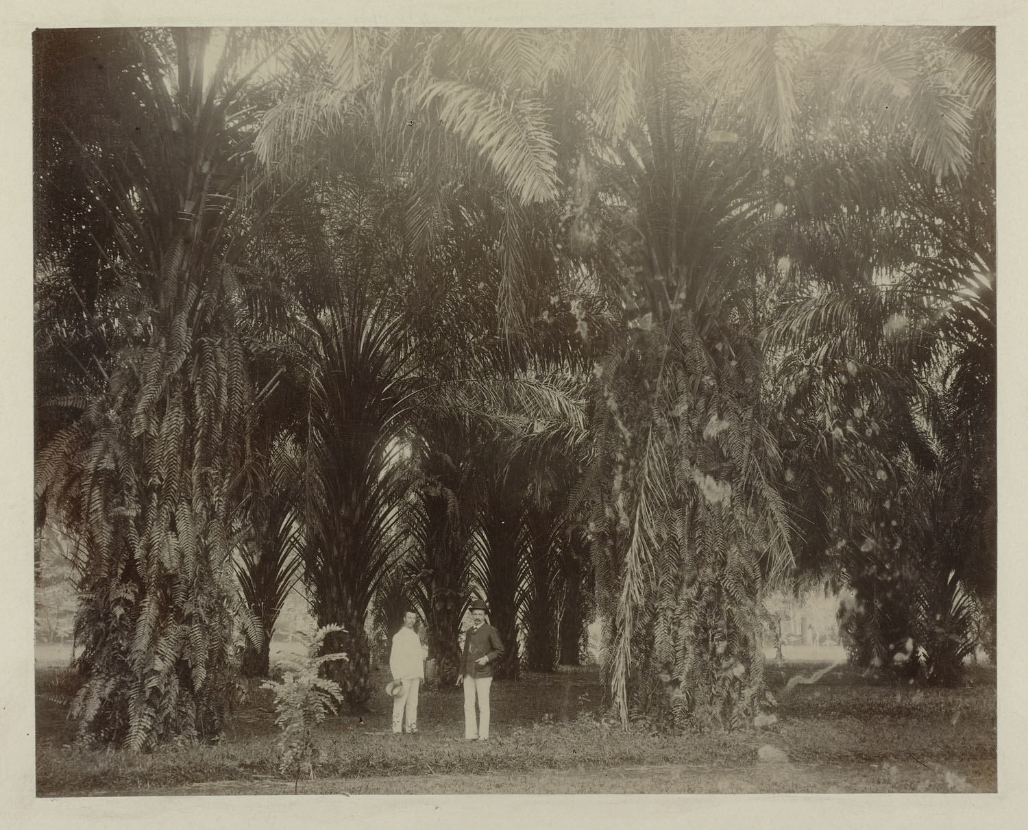 West-Java, Bogor 1899, Serie J.M. Janse, fotograaf onbekend, RV-A143-142