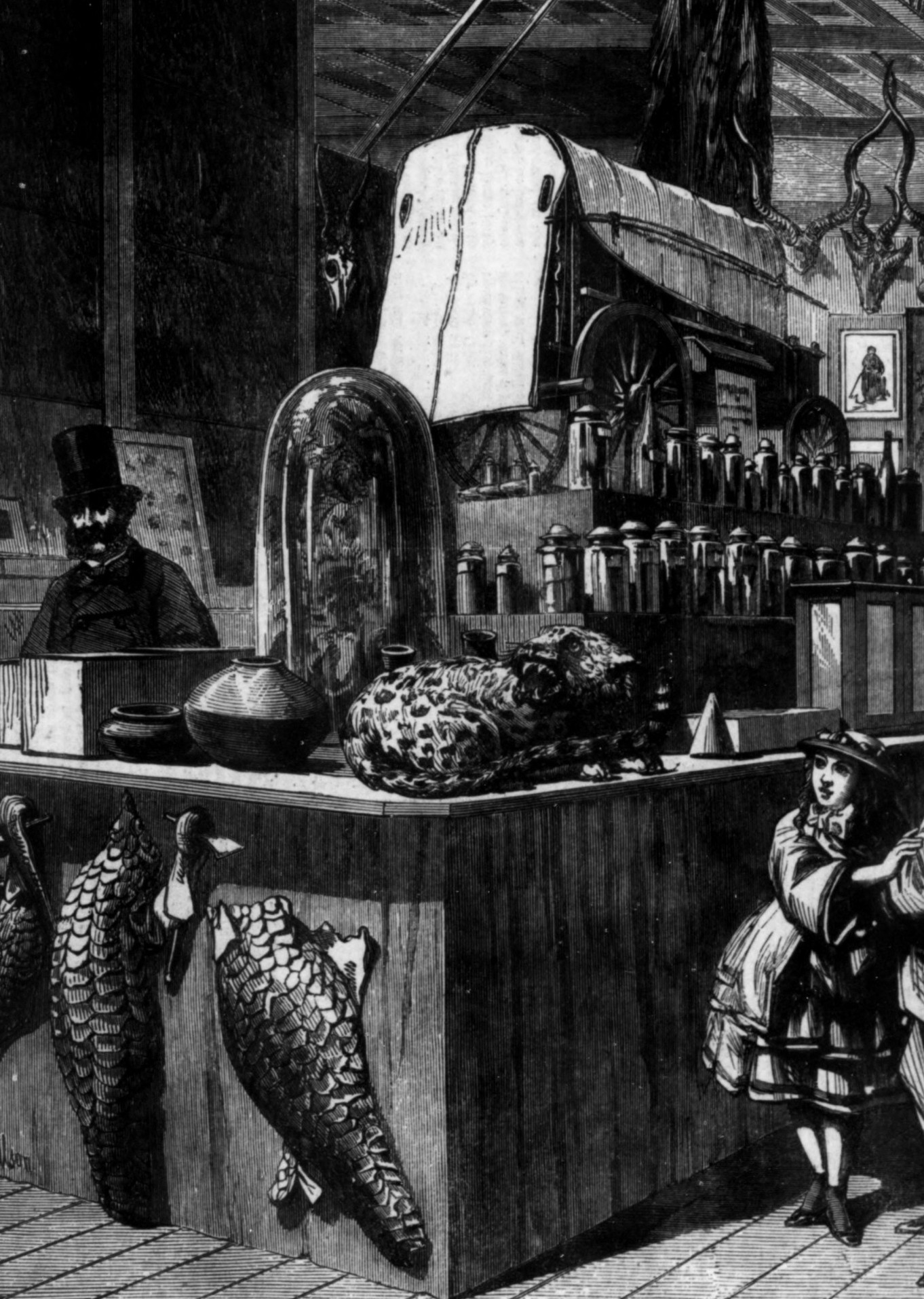 Illustrated London News, 1862-07-05, p. 20