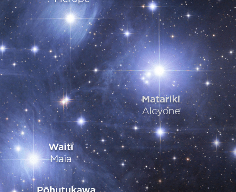 De Matariki sterren. Robert Gendler, CC BY-SA 4.0 <https://creativecommons.org/licenses/by-sa/4.0>, via Wikimedia Commons