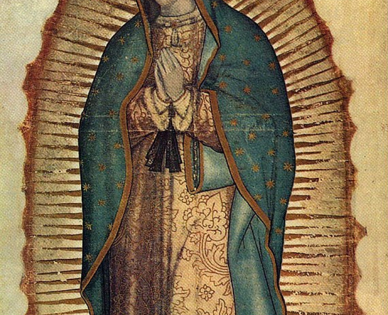 Virgen de Guadalupe in Mexico-stad