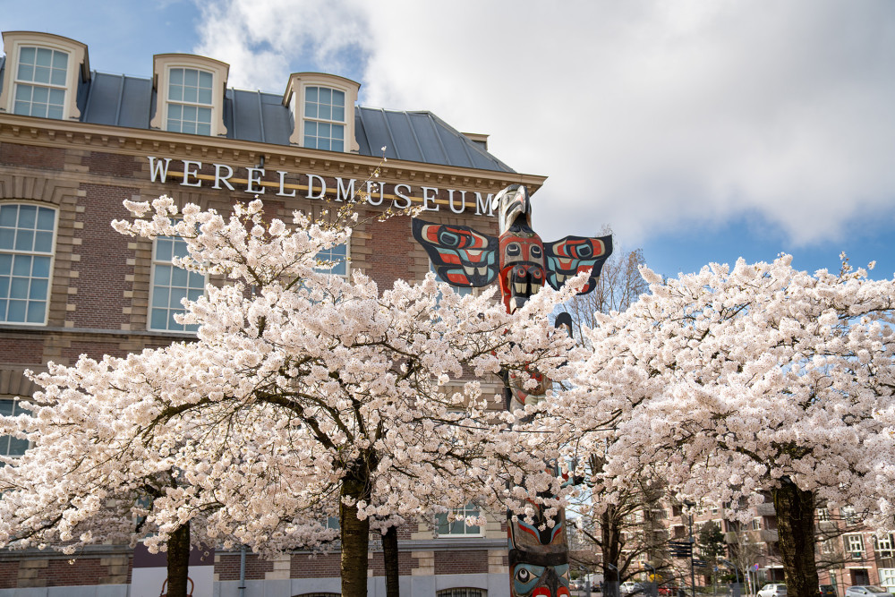 Totempaal bij de kersenbloesems tijdens Hanami festival