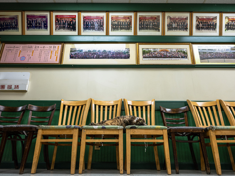 Tyler Chan ©
